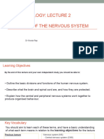 Lec.2 Overview of The Nervous System