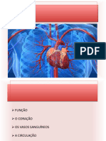 Sistema Cardiovascular