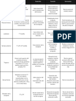 Tabla Anatomía Músculos