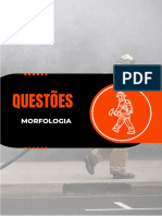 Questões - Morfologia