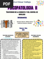 Psicopatologia 20241009 175421 0000