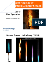 2019 Cambridgeciss Fires Rein