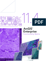 Arcgis Enterprise Functionality Matrix