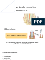 Perdiodonto PDF