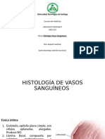 Material DidÃ¡ctico PatologÃ A de Vasos SanguÃ Neos