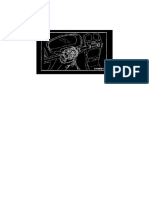 Kia - Spectra - Wiring Diagram - 2003 - 2003