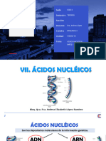 Unidad Vii - Acidos Nucleicos