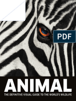 Animal