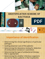 Micro Organism Identification Bacteria and Virus