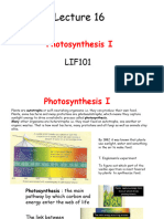 Lecture 16 LIF101 2020 Photosynthesis I