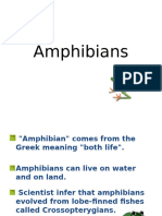 Amphibians