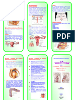 TRIPTICO Aparato Reproductor