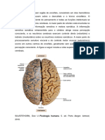 Neurofisiologia para Prova