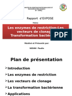 Les Enzymes de Restriction-Les Vecteurs de Clonage - Transformation