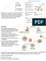 Mycobacterium Tuberculosis