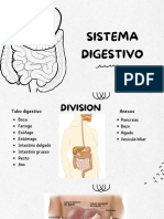 Sistema Digestivo 1