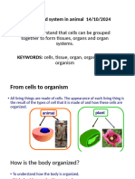 Tissue, Organ and Organ System