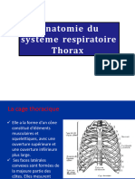 Anatomie Du Systéme Respiratoire Thorax Professeur - ZRAIDI. Mohamed