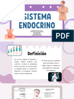 Sistema Endocrino