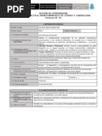 FORMATO SESION DE APRENDIZAJE APROBADO CON RESOLUCION 2024 - Chasis y Carroceri