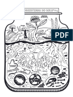 Ecossistema Do Solo