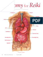 RI08anatomy For Reiki