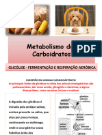 Metabolismo Dos Carboidratos: Glicólise - Fermentação E Respiração Aeróbica