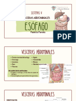 Digestive System PDF