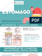 Grupo 1 - Estómago PDF