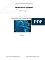 Extracción de ADN Práctica Del Laboratorio