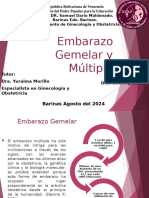 Embarazo Gemelar