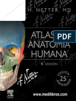 Atlas de Anatomia Humana - Netter - 6ta Edición