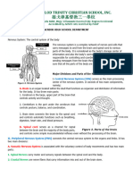 Lesson Nervous System