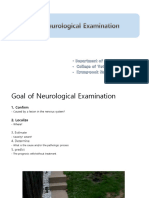 2024 PPT 11 Neurology