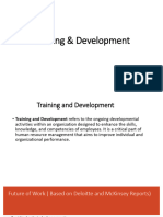 Training & Development