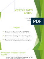 Biosynthesis Fatty Acids