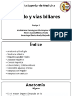 Hígado y Vías biliaresESM