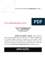 Bancário - Apelacao Razoes Pessoa Fisica Cedula Credito Bancario Embargos Execucao Efeito Suspensivo