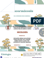 Mucormicosis 6A Equipo 2 - 20240521 - 083343 - 0000