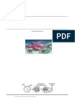 Science Class X Chapter 07 How Do Organisms Reproduce Practice Paper 09 2024