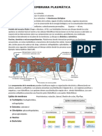 Membrana Plasmática y Electrofisio