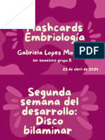 Flashcards de Embriologia Lagman