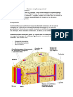 Fractura Terapia Ocupacional