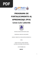 2 Informe Pfa Completo