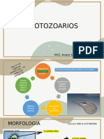 Protozoarios 1