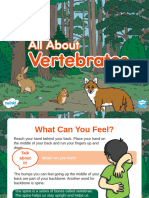 All About Vertebrates Powerpoint Us S 256