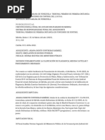 Tribunal Primero de Primera Instancia en Lo Penal en Funciones de Control Del L.O.P.N.A - 15-03-2022 - Expediente - C1-8396-2022 - Merida - Primera Instancia