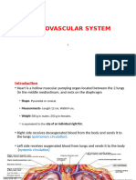 Cardiovascular System