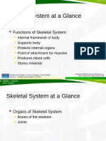 Skeletal System