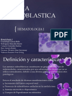 4 Anemia Sideroblastica